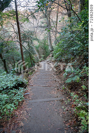 高尾山登山コース4号路 高尾山登山コース4号路 71982609