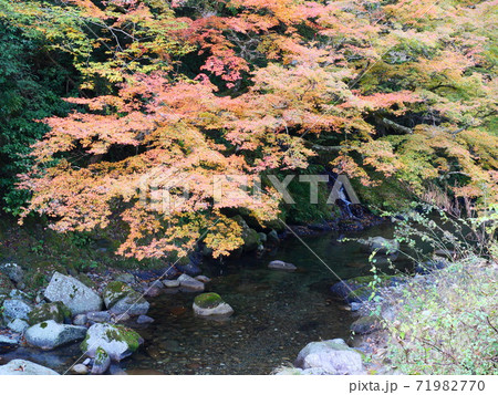 木谷峡の紅葉 木谷峡の紅葉 71982770