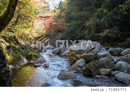 木谷峡の紅葉 71982771