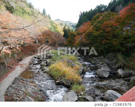 かおれ渓谷　2020年11月 71983976