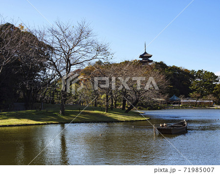 神奈川県横浜市三渓園(三溪園)の秋 神奈川県横浜市三渓園(三溪園)の秋 71985007