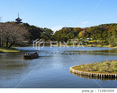 神奈川県横浜市三渓園(三溪園)の秋 神奈川県横浜市三渓園(三溪園)の秋 71985009