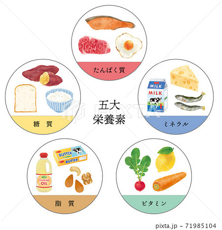 五大栄養素のおしゃれなベクターイラスト 人物なしのイラスト素材