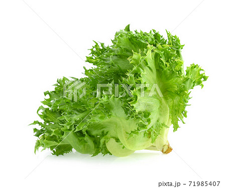 fresh frillice iceberg isolated on white background fresh frillice iceberg isolated on white background 71985407