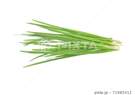 Top view of Garlic chives isolated on white background 71985412