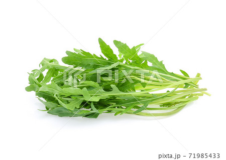 Sweet rucola salad or rocket lettuce leaves isolated on white background 71985433