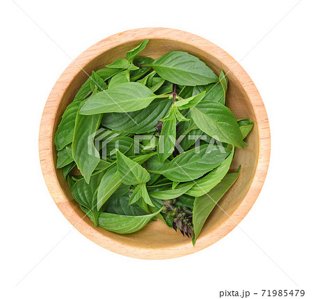 Top view of Basil flower isolated on white background Top view of Basil flower isolated on white background 71985479
