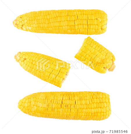 corn isolated on white background corn isolated on white background 71985546