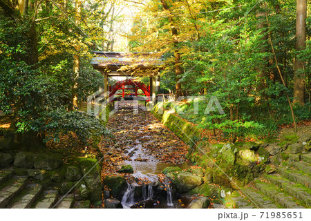 玉の橋、弥彦神社、弥彦村、新潟県、日本 71985651
