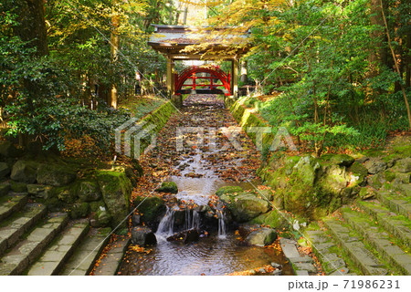 玉の橋、弥彦神社、弥彦村、新潟県、日本 71986231