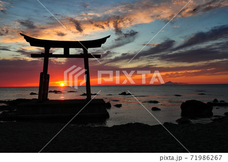 金比羅神社　夕陽の誓い 71986267