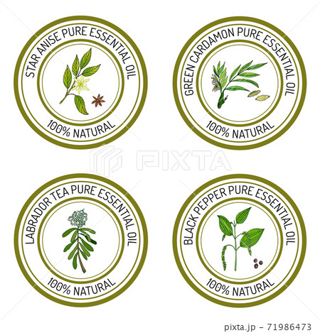 Set of essential oil labels star anise, green cardamon, labrado Set of essential oil labels star anise, green cardamon, labrado 71986473
