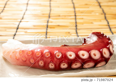 タコ(湯だこ)。背景、すだれ。 71987024