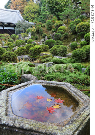秋の東福寺 71987344