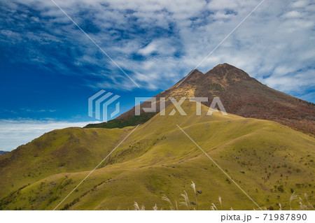 紅葉の由布岳 71987890