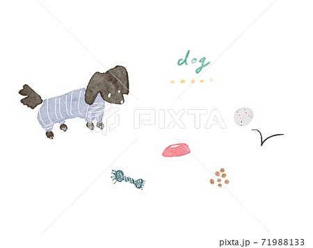 わんちゃんのイラスト素材