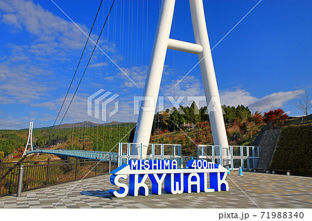 日本一長い歩行者専用大吊り橋三島スカイウォーク 71988340