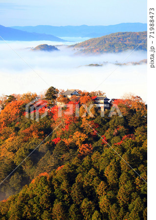 天空の山城4622 天空の山城4622 71988473