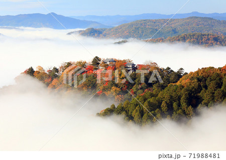 天空の山城4875- 天空の山城4875- 71988481
