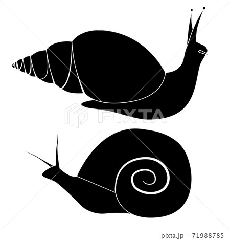 Set of black silhouette snails of various shapes. Objects are separate from the background. Simple cartoon vector image 71988785