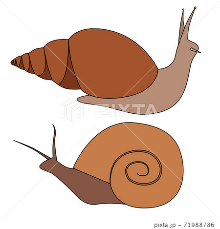 Set of contour colored snails of various shapes. Objects are separate from the background. Simple cartoon vector image 71988786