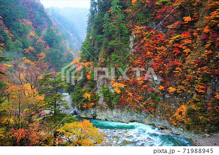 黒部峡谷の紅葉の写真素材