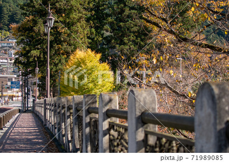 秋の氷川大橋 71989085
