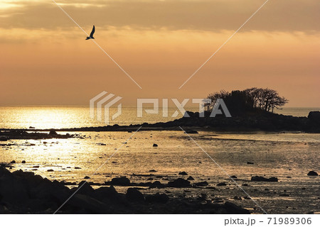 夕暮れ 夕焼け 海 71989306