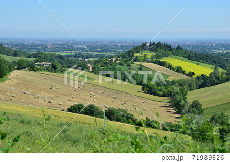 Fields in the hills Fields in the hills 71989326