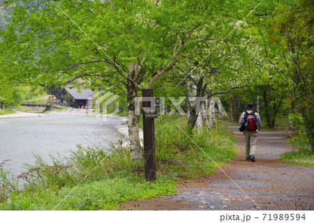 初夏の上高地（梓川沿いの遊歩道） 71989594