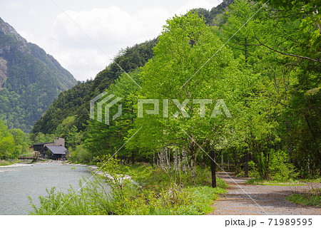初夏の上高地（梓川沿いの遊歩道） 71989595