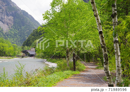 初夏の上高地（梓川沿いの遊歩道） 71989596