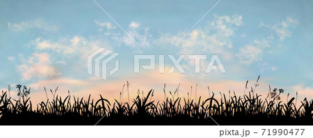Seamless vector realistic silhouette grass field with sunset sky backdrop. Long length vector 71990477