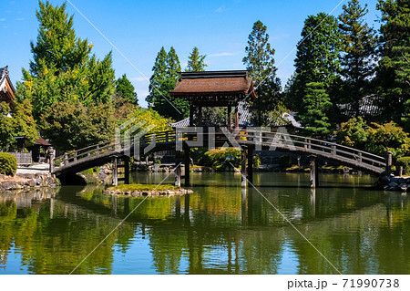 岐阜県多治見市 永保寺 庭園 無際橋 岐阜県多治見市 永保寺 庭園 無際橋 71990738