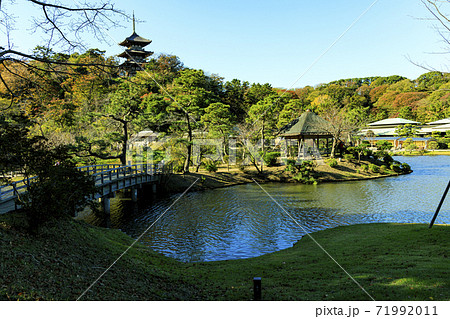 神奈川県横浜市三渓園(三溪園)の秋 神奈川県横浜市三渓園(三溪園)の秋 71992011