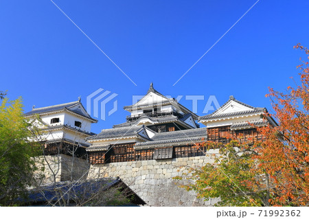 【愛媛県】紅葉の松山城天守閣 71992362