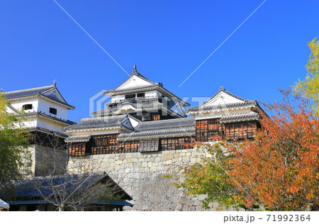 【愛媛県】紅葉の松山城天守閣 【愛媛県】紅葉の松山城天守閣 71992364