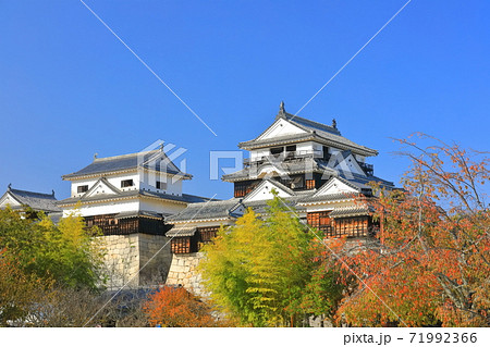 【愛媛県】紅葉の松山城天守閣 71992366