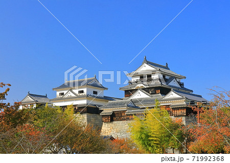 愛媛県 紅葉の松山城天守閣の写真素材