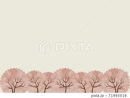 横並びの桜の木 水彩 イラストのイラスト素材