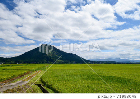森山 71993048