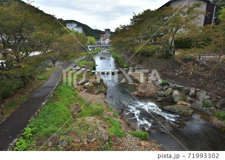 (山口県)長門市湯本温泉　音信川散策路と温泉旅館の風景 71993302