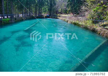 富山県魚津市平沢地区にある用水の様子 71993702