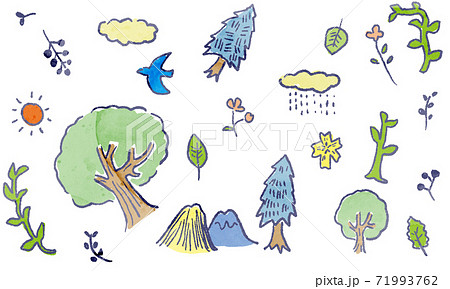 pland vector illust of hand drawn 71993762