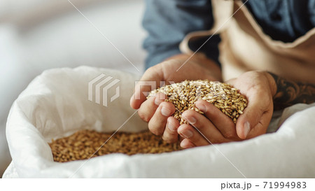 Ingredients for beer at factory, favorite job and startup 71994983