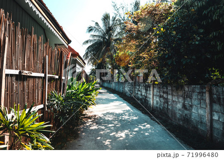 Coconut trees On the way to the island Koh Lipe thailand Coconut trees On the way to the island Koh Lipe thailand 71996480