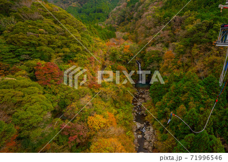須津川渓谷 紅葉の中へバンジージャンプ (静岡県富士市) 須津川渓谷 紅葉の中へバンジージャンプ (静岡県富士市) 71996546