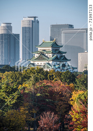 愛知県 紅葉の名古屋城と高層ビル群の写真素材