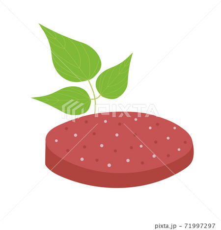 Plant based meat. Meatless product and green leaves isolated on white background. Vegan concept. Organic natural vegetarian food.Vector flat illustration Plant based meat. Meatless product and green leaves isolated on white background. Vegan concept. Organic natural vegetarian food.Vector flat illustration 71997297