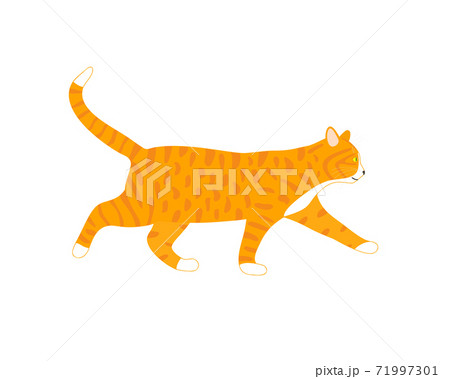Walking ginger cat isolated on white backround. Cute cartoon cat profile. Vector illustration 71997301